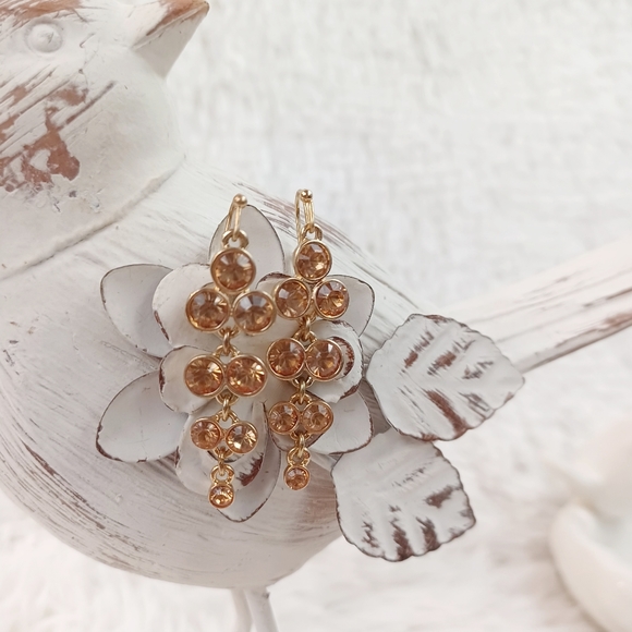 Amber Color Dangle Earrings - Picture 5 of 8